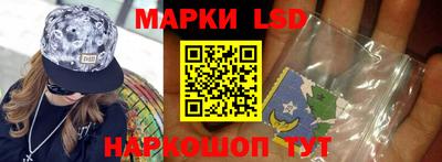 прущие грибы Будённовск