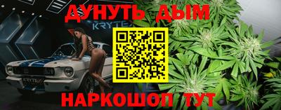 прущие грибы Будённовск