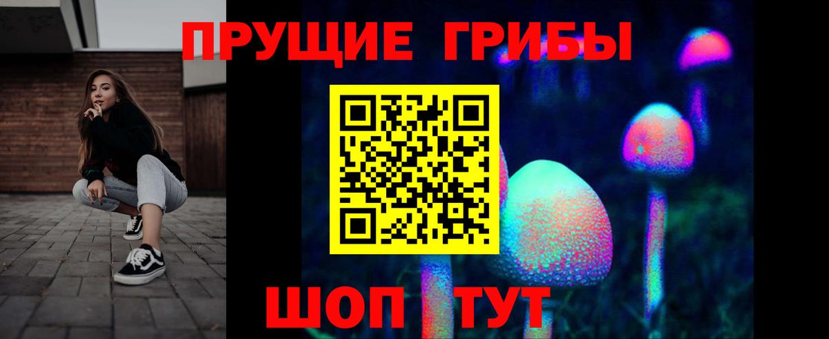Псилоцибиновые грибы прущие грибы Старая Русса